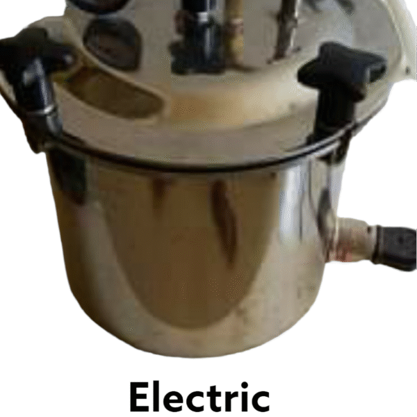 Electric Steamer Autoclave Type