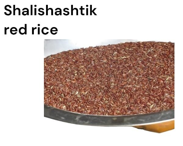 Shalishashtik Red rice (Navara rice )