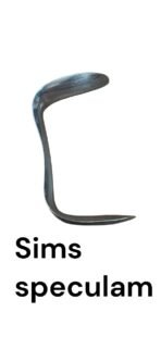 Sim's speculam