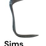 Sim's speculam